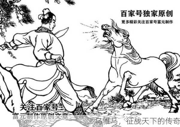 乌骓马，征战天下的传奇