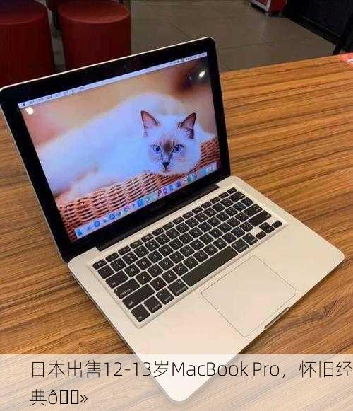 日本出售12-13岁MacBook Pro，怀旧经典💻