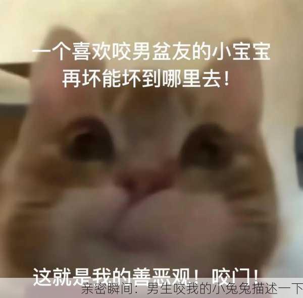 亲密瞬间：男生咬我的小兔兔描述一下