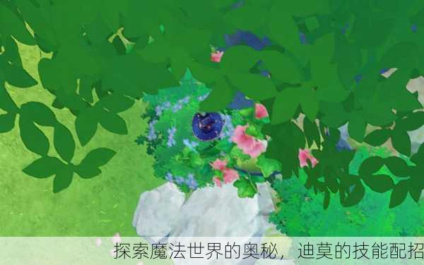 探索魔法世界的奥秘，迪莫的技能配招