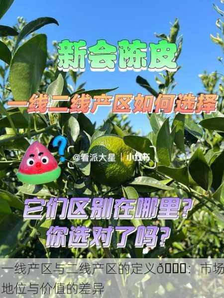 一线产区与二线产区的定义🏅：市场地位与价值的差异