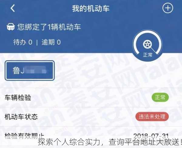 探索个人综合实力，查询平台地址大放送！