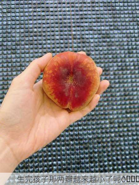 生完孩子那两瓣越来越小了呢🍑