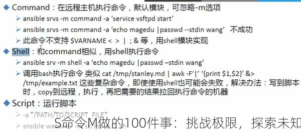 S命令M做的100件事：挑战极限，探索未知