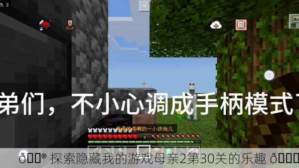 🎮 探索隐藏我的游戏母亲2第30关的乐趣 🎉