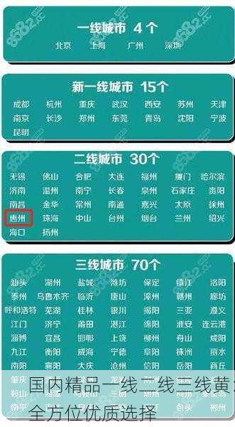 国内精品一线二线三线黄：全方位优质选择