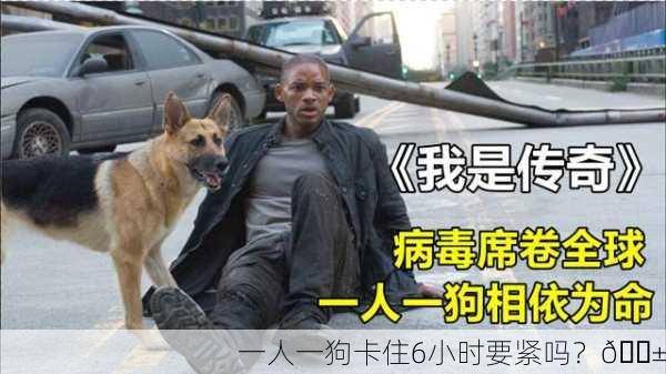 一人一狗卡住6小时要紧吗？😱