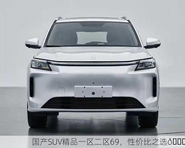 国产SUV精品一区二区69，性价比之选🚗