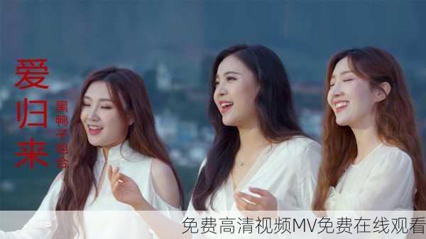 免费高清视频MV免费在线观看