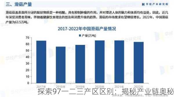 探索97一二三产区区别：揭秘产业链奥秘