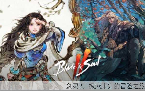 剑灵2，探索未知的冒险之旅