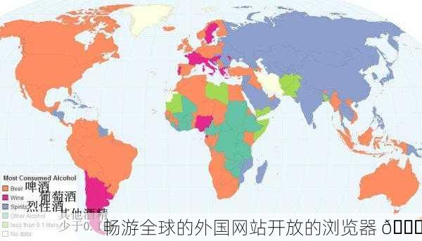 畅游全球的外国网站开放的浏览器 🌐