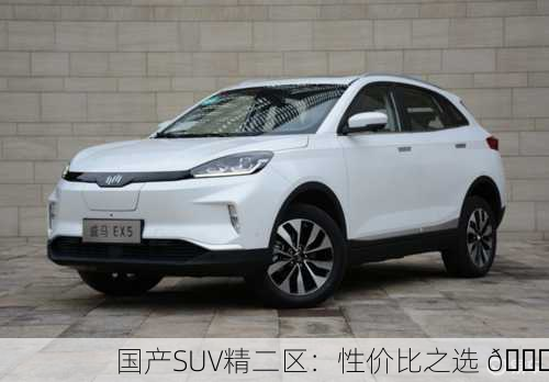 国产SUV精二区：性价比之选 🚗