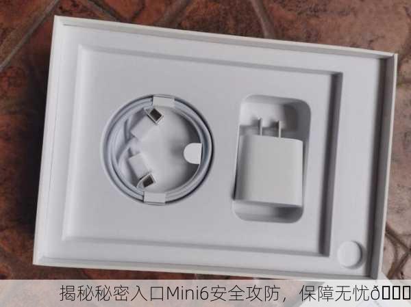 揭秘秘密入口Mini6安全攻防，保障无忧🔐