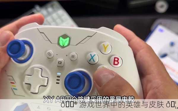 🎮 游戏世界中的英雄与皮肤 🦸