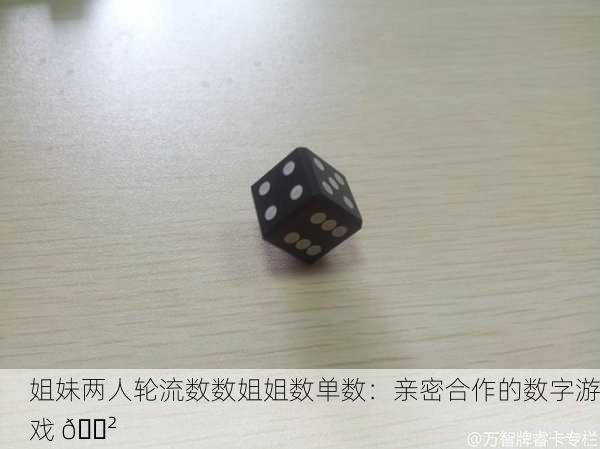 姐妹两人轮流数数姐姐数单数：亲密合作的数字游戏 🎲