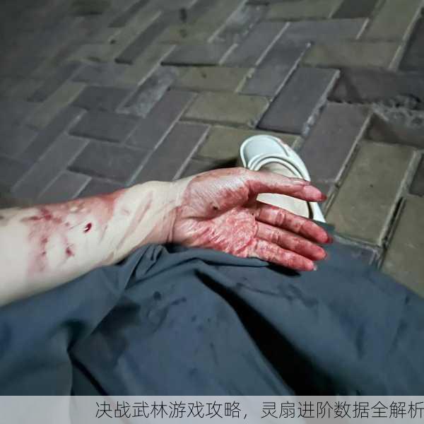 决战武林游戏攻略，灵扇进阶数据全解析