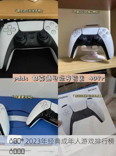 🎮 2023年经典成年人游戏排行榜 🎉
