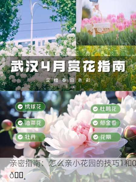 亲密指南：怎么亲小花园的技巧1和0🌸