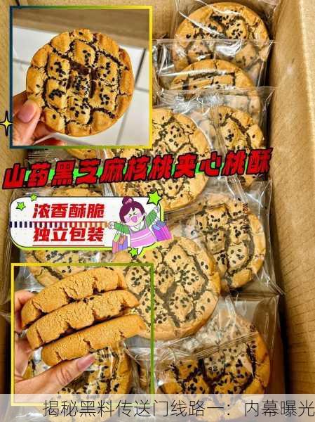 揭秘黑料传送门线路一：内幕曝光