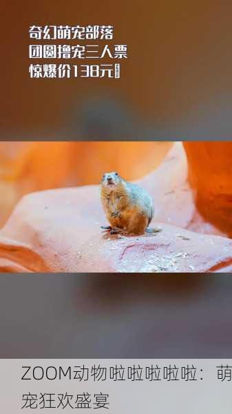 ZOOM动物啦啦啦啦啦：萌宠狂欢盛宴