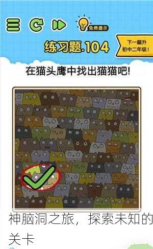 神脑洞之旅，探索未知的关卡