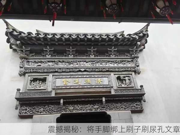 震撼揭秘：将手脚绑上刷子刷尿孔文章