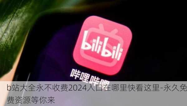 b站大全永不收费2024入口在哪里快看这里-永久免费资源等你来