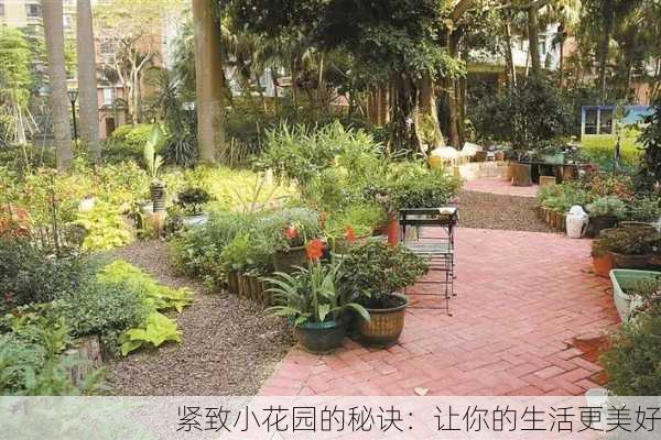 紧致小花园的秘诀：让你的生活更美好