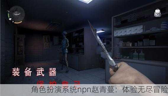角色扮演系统npn赵青蔓：体验无尽冒险