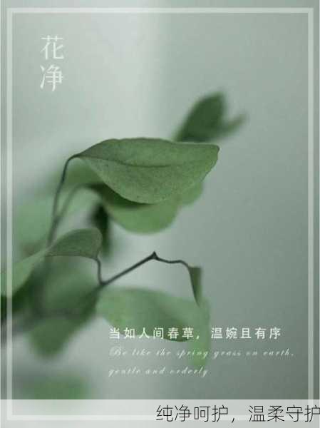 纯净呵护，温柔守护