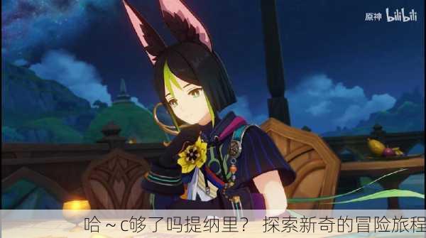哈～c够了吗提纳里？ 探索新奇的冒险旅程