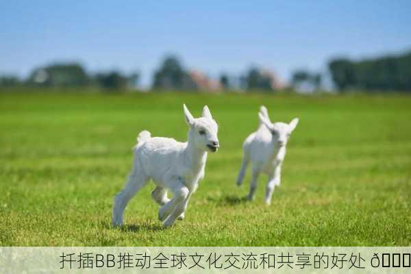 扦插BB推动全球文化交流和共享的好处 🌍