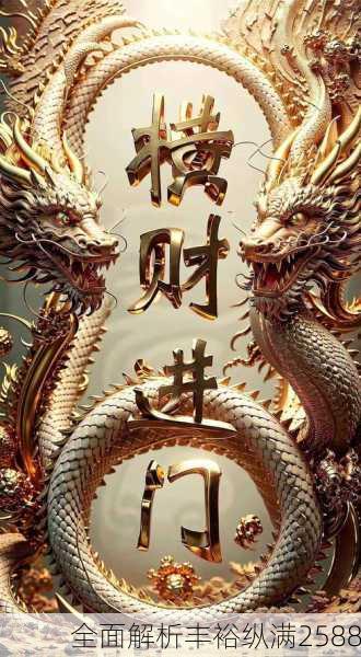 全面解析丰裕纵满2588