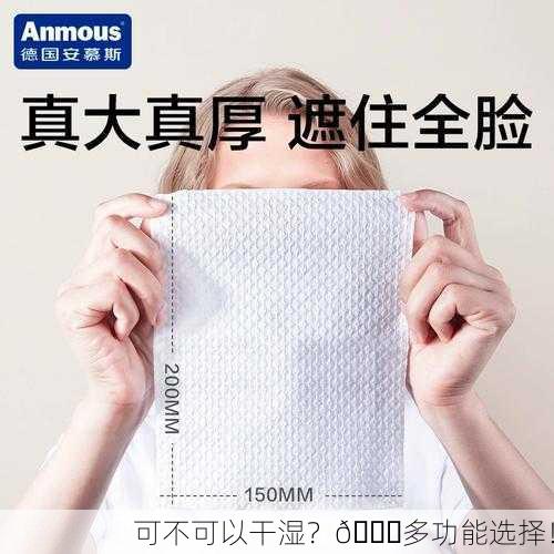 可不可以干湿？🌟多功能选择！