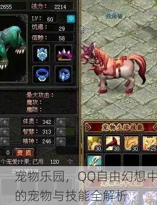 宠物乐园，QQ自由幻想中的宠物与技能全解析