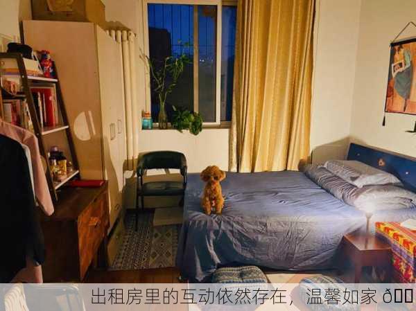 出租房里的互动依然存在，温馨如家 🏡