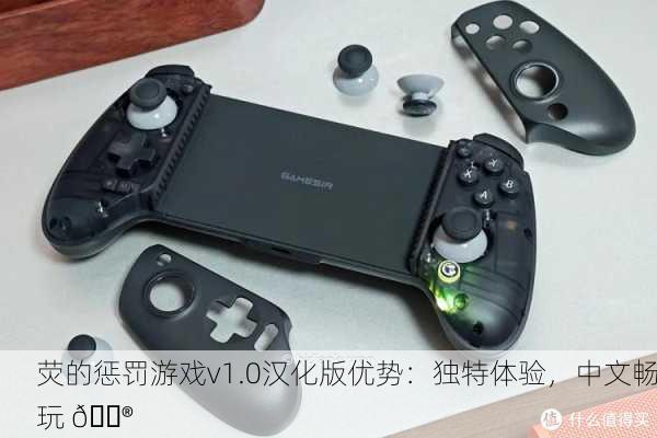 荧的惩罚游戏v1.0汉化版优势：独特体验，中文畅玩 🎮