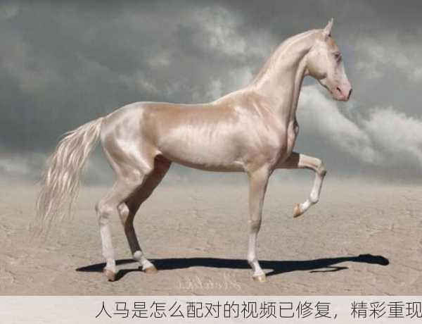 人马是怎么配对的视频已修复，精彩重现