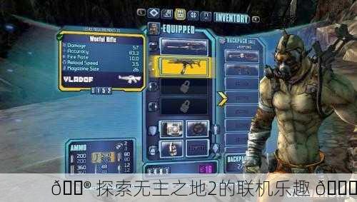 🎮 探索无主之地2的联机乐趣 🎉