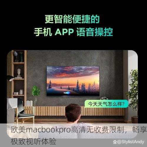 欧美macbookpro高清无收费限制，畅享极致视听体验