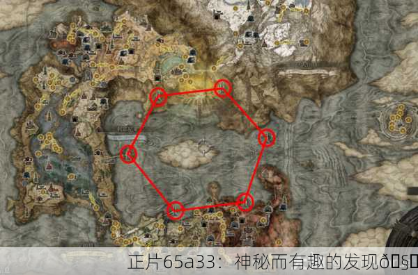 正片65a33：神秘而有趣的发现🧐