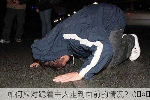如何应对跪着主人走到面前的情况？🤔