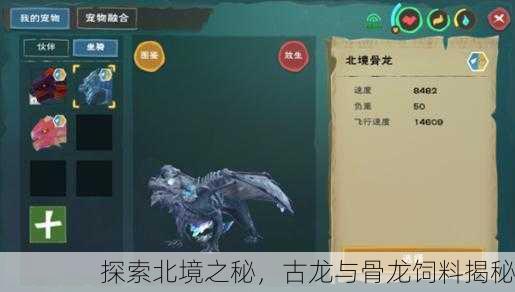 探索北境之秘，古龙与骨龙饲料揭秘
