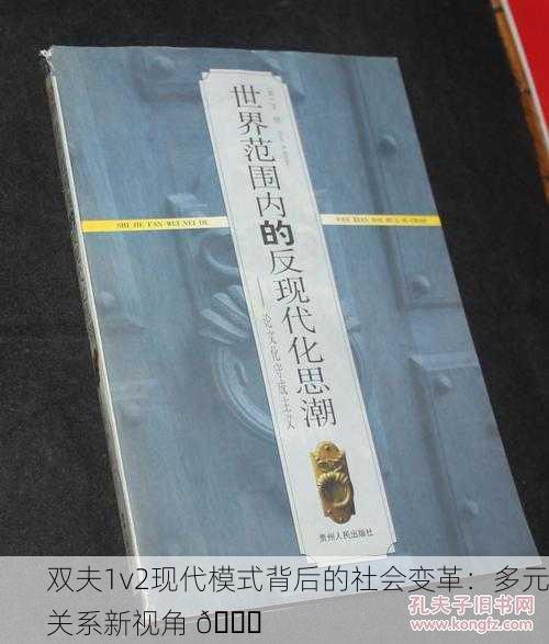 双夫1v2现代模式背后的社会变革：多元关系新视角 🔍
