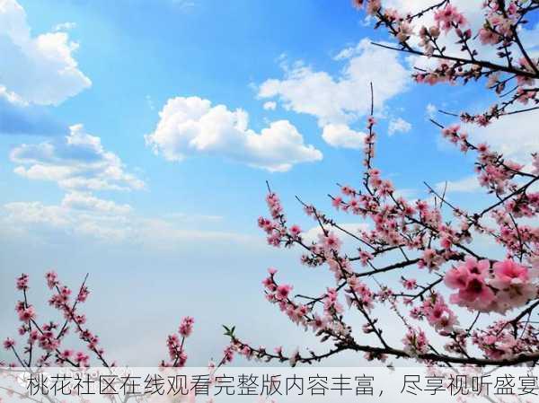 桃花社区在线观看完整版内容丰富，尽享视听盛宴