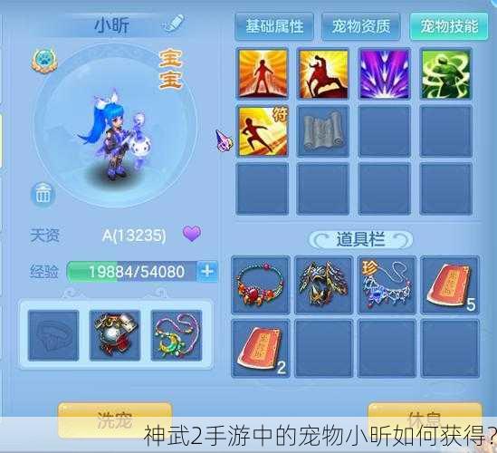 神武2手游中的宠物小昕如何获得？