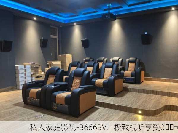 私人家庭影院-B666BV：极致视听享受🎬
