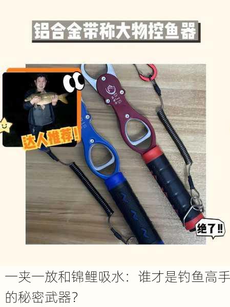 一夹一放和锦鲤吸水：谁才是钓鱼高手的秘密武器？