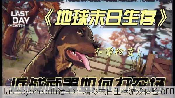 lastdayonearth猪HD：精彩末日生存游戏体验 🐷